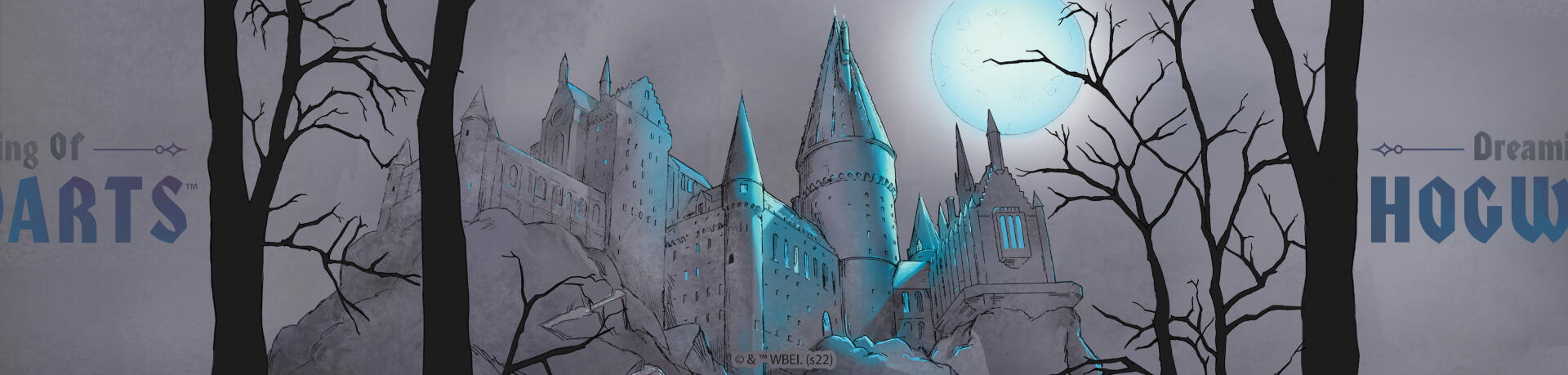 Dreaming of Hogwarts